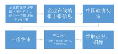 關(guān)于開展2019年中國軟件和信息服務(wù)業(yè)企業(yè)信用評價(jià)工作的通知